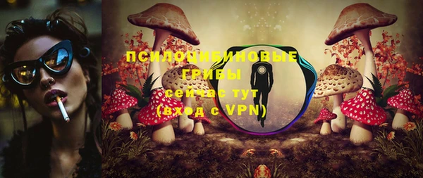 соль курить ск Арсеньев