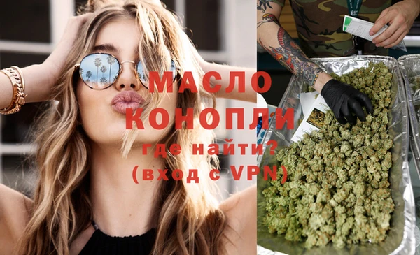 индика Армянск